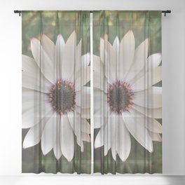 White Flower Sheer Curtain