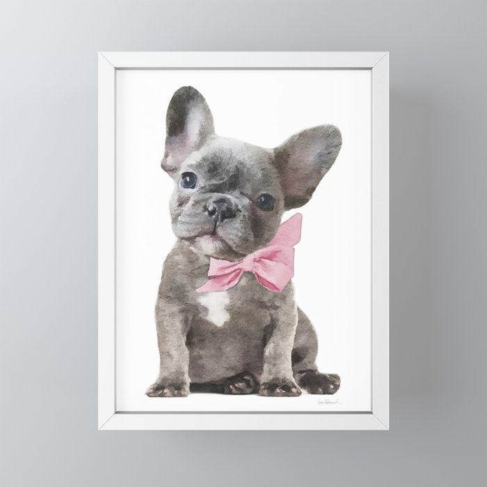 Mini grey hot sale french bulldog