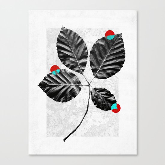 Abstract Flowers 4 Canvas Print