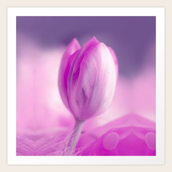 SPRING BEAUTY Art Print