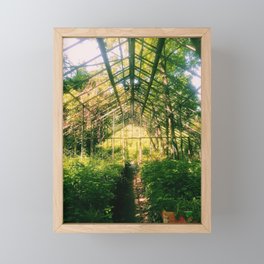 greenhouse Framed Mini Art Print