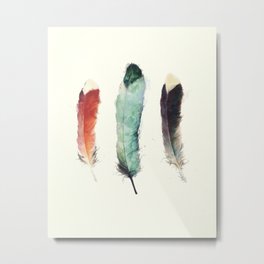 Feathers Metal Print | Illustration, Painting, Nature 