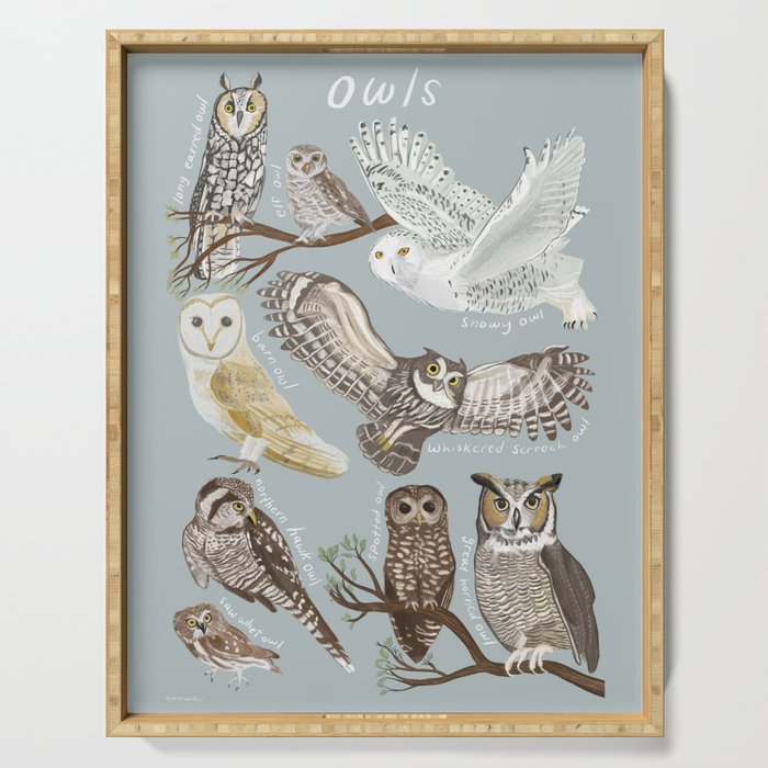 Owls Illustrated Chart Serving Tray