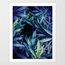 Blue Path of Cannabis Leaves Art Print