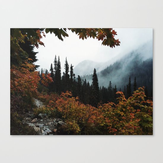 Fall Framed Trail Canvas Print