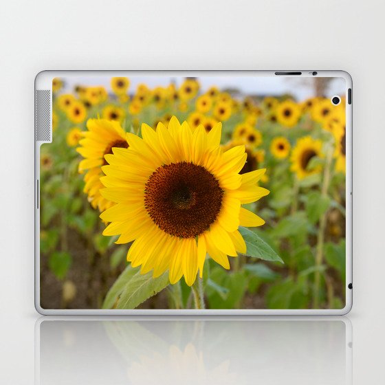 Sunflower Field Laptop & iPad Skin