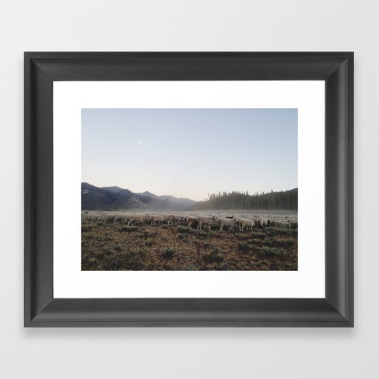 Sheep Dust Framed Art Print