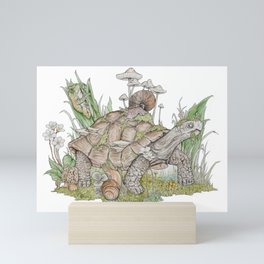 Forest Tortoise Mini Art Print