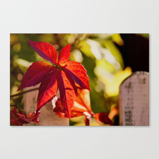 Red Autumnlights- Indian Summer VI Canvas Print