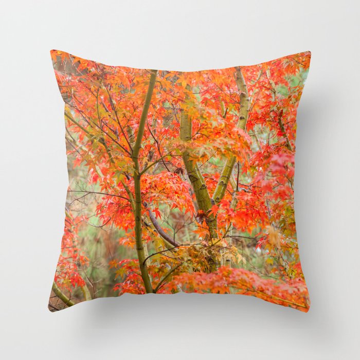 Japanese Maple in autumn Throw Pillow