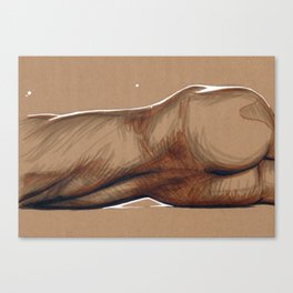 Lay down and stretch Canvas Print