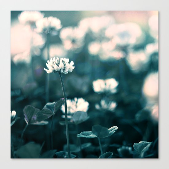 Singele Canvas Print