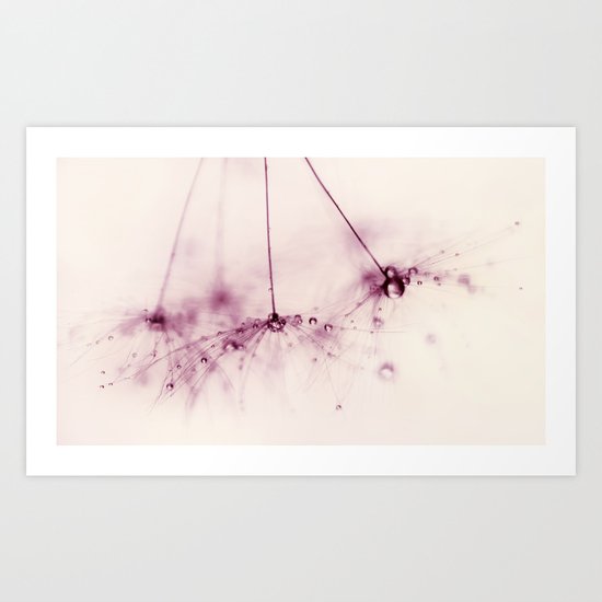 dandelion - pink blush Art Print
