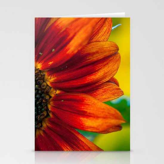 Red Sunflower Stationery Cards