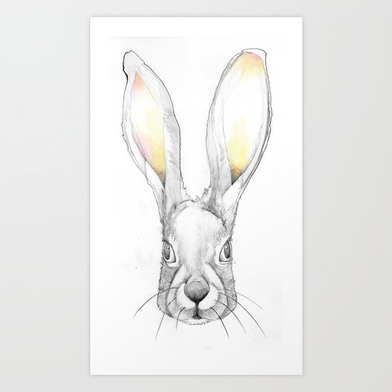 Jack Rabbit Art Print
