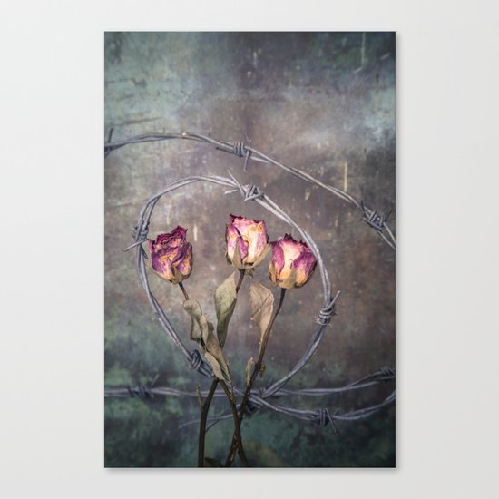 Trapped Roses Canvas Print