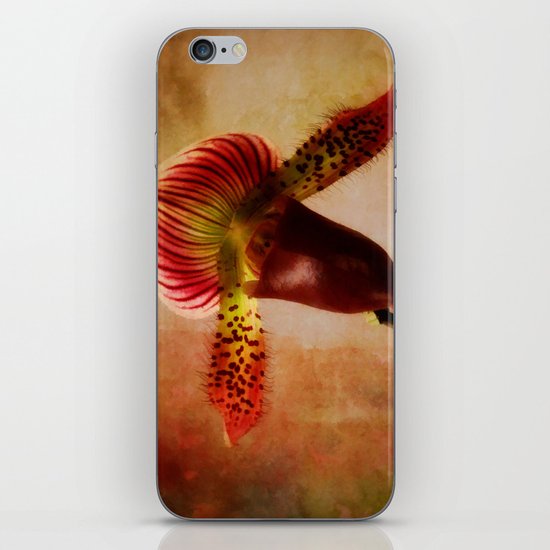 Ruby Lady Slipper Orchid iPhone & iPod Skin