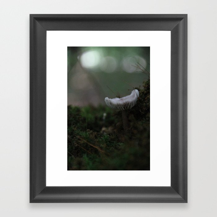 Abstract Nature II Framed Art Print
