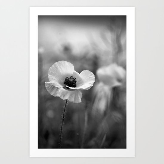 Resplendent In Mono Art Print