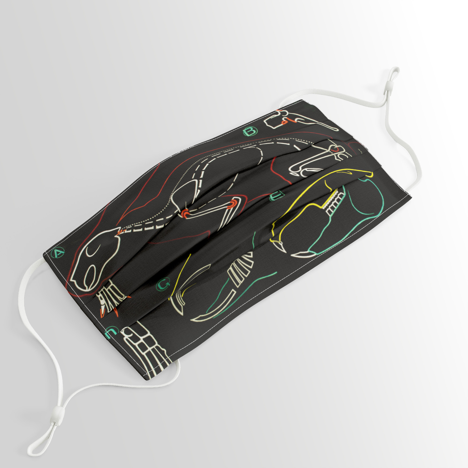society6