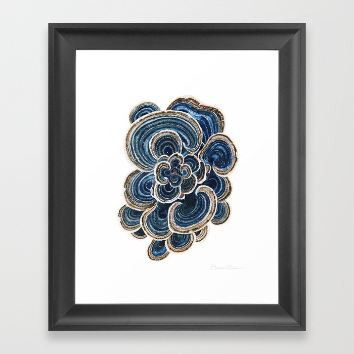Blue Trametes Mushroom Framed Art Print