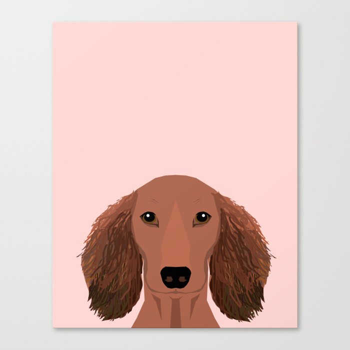 Long Haired dachshund doxie must have gifts red coat color unique dog breed gift ideas Canvas Print