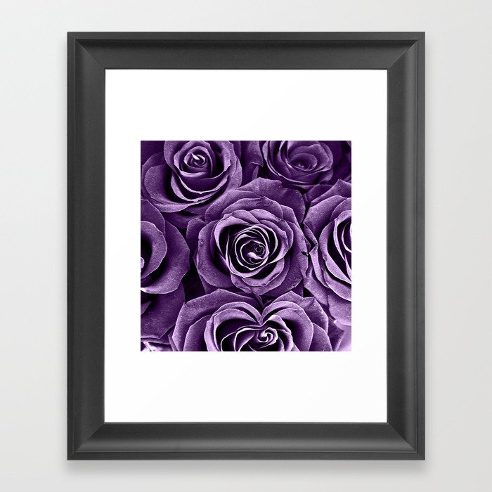 Rose Bouquet in Purple Framed Art Print