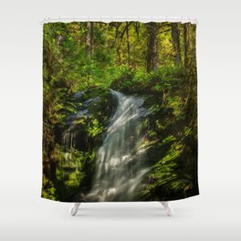 Quinault Rainforest Waterfall  7-24-21  Shower Curtain