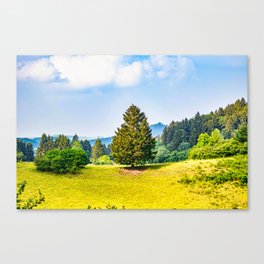 Germany Forest Tree Green Nature Eye Relaxing Decoration Canvas Print