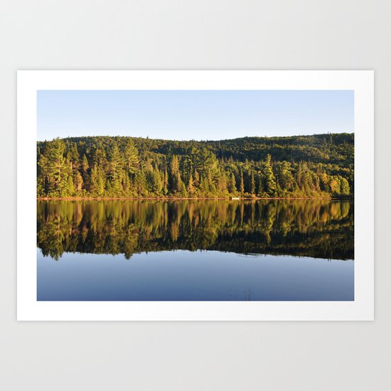 The lake Art Print