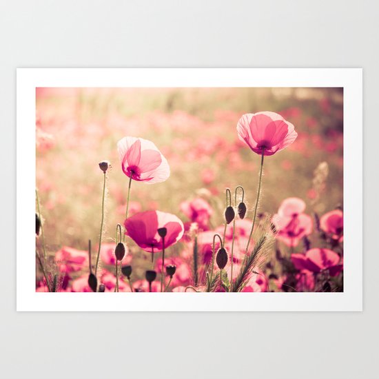 Heaven - poppy flowers photography Art Print