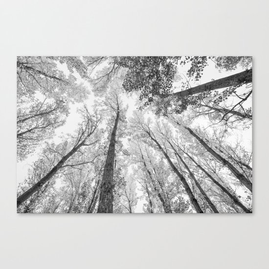 "Up in the air II" BW Canvas Print