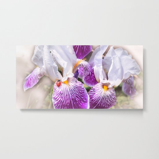 Gladiolus and ladybug Metal Print