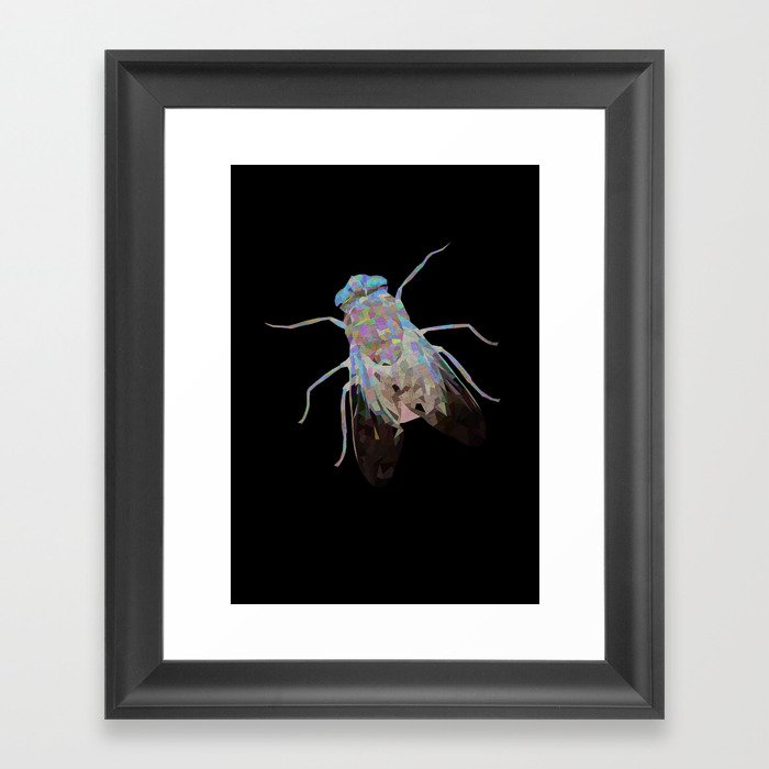 Animal Slang - Fly Framed Art Print