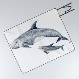 Risso´s Dolphin Picnic Blanket