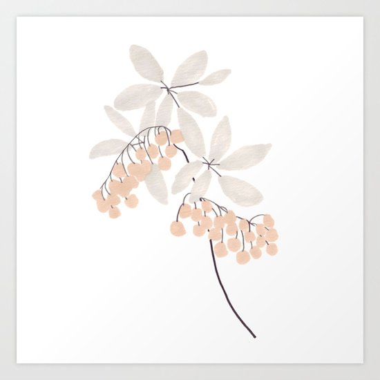Enkianthus Flower Art Print