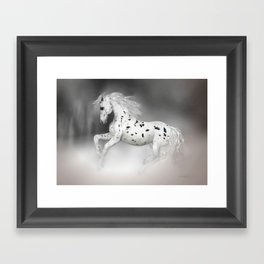HORSE - Appaloosa Framed Art Print