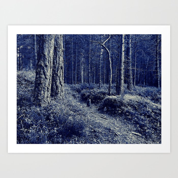 Drama on a Nature Trail in Black and White Art Print