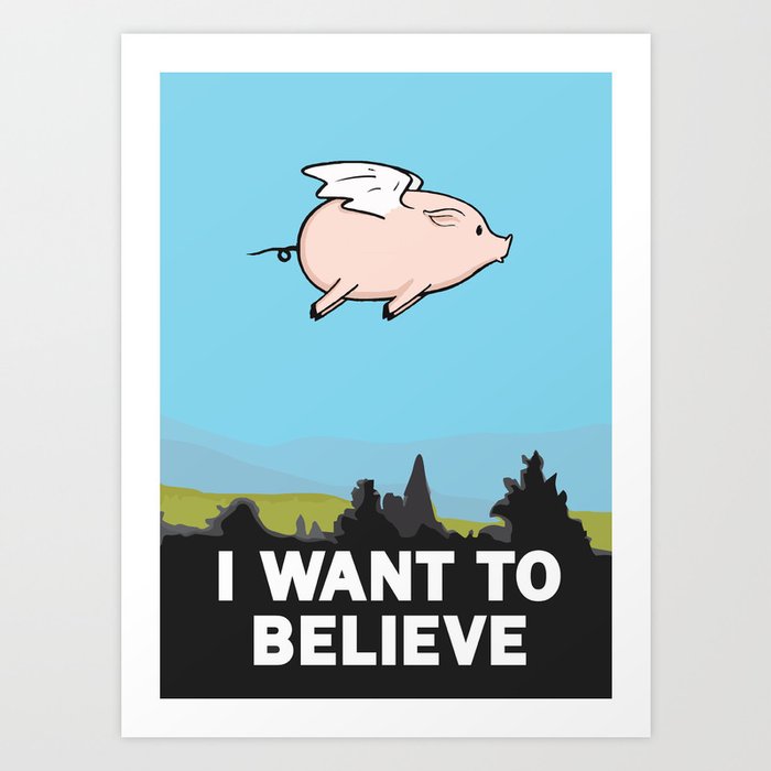 The X Files Poster I want To Believe