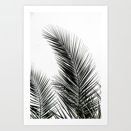 Palm Leaves Art Print
