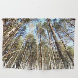 Pine Tree Canopy in Expressive and After Glow   Wall Hanging