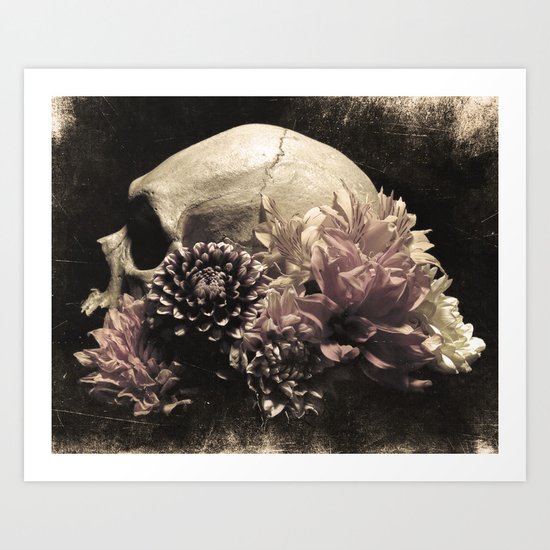 Vanitas Art Print