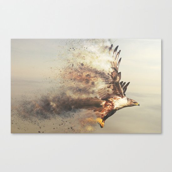 Stormhawk Canvas Print