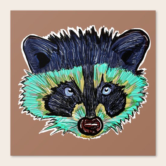 Raccoon Canvas Print
