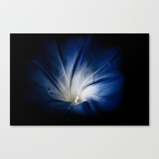 rise & shine Canvas Print