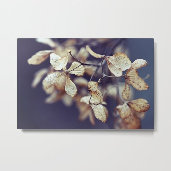 Nostalgic Nature Metal Print