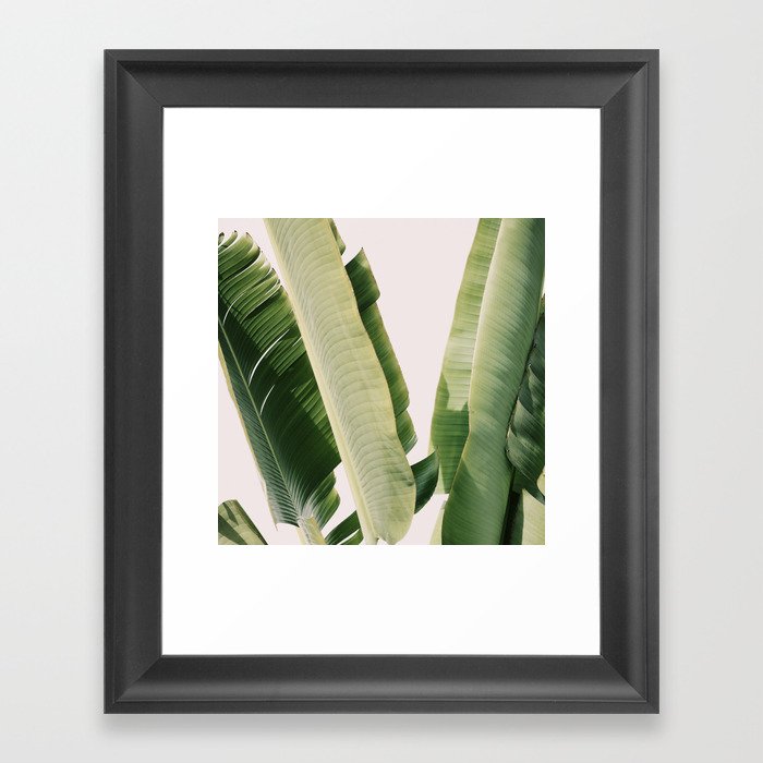 Banana Leaf 1 Framed Art Print By Aliciabock Society6