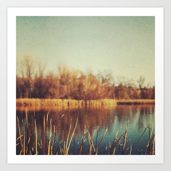 Solace Art Print