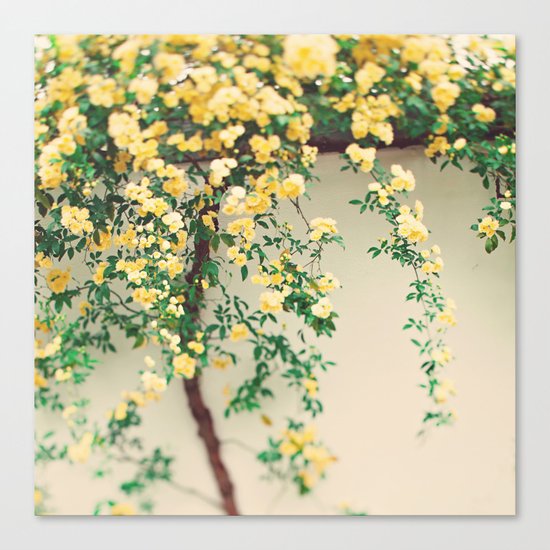 Sunny Days Canvas Print