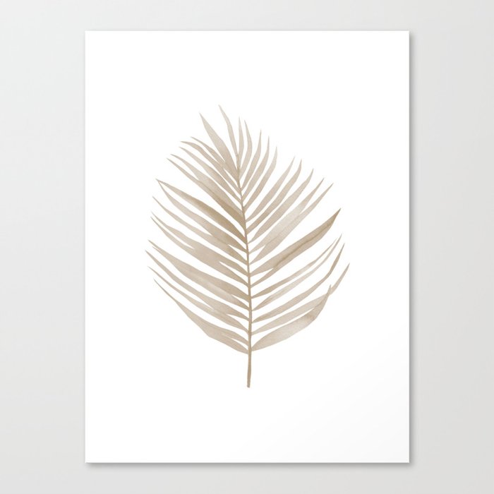 Dry Palm Leaf Canvas Print